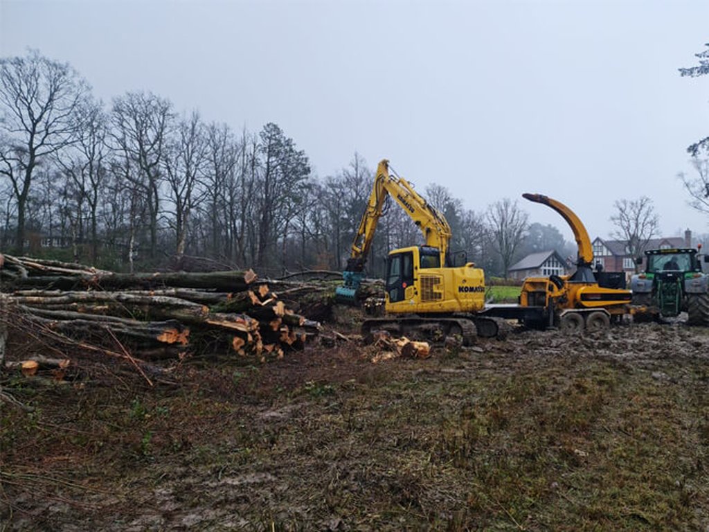 SIte Clearance