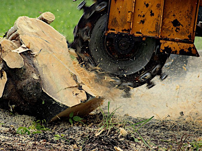 Stump Grinding & Removal